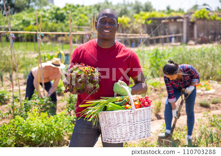 African american man professional gardener posing with harvest 110703288