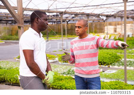 African and Latino men garden workers berating 110703315