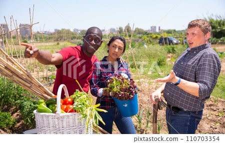 Gardeners having conflict together after harvesting of vegetables 110703354