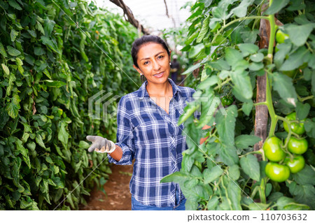 Latino woman farmer posing on tomato farm Latino woman farmer posing on tomato farm 110703632