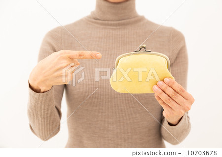 Middle-aged woman with a purse 110703678