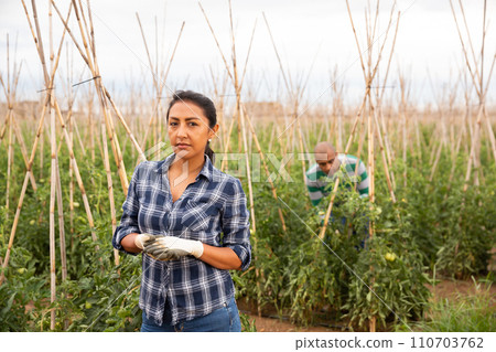 Confident female horticulturist of farm field Confident female horticulturist of farm field 110703762