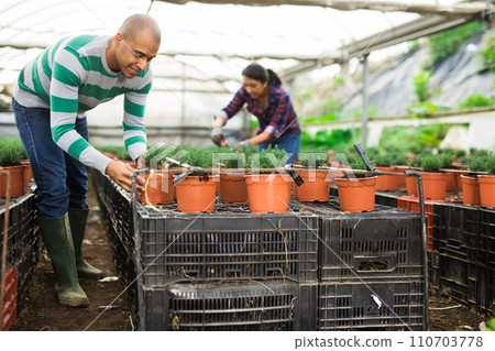 couple working together in greenhouse farm 110703778