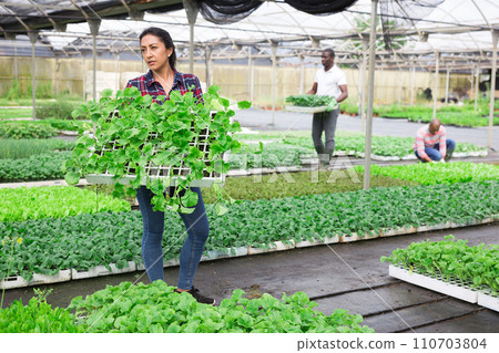 Positive female farmer working in greenhouse 110703804