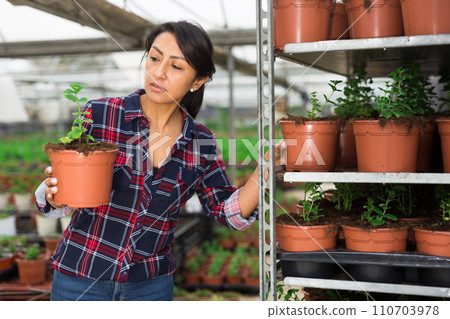 Woman gardener holding pot with seedling Woman gardener holding pot with seedling 110703978
