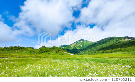 夏天攀登火內山（天狗庭園：火內山和棉草群落） 110705211