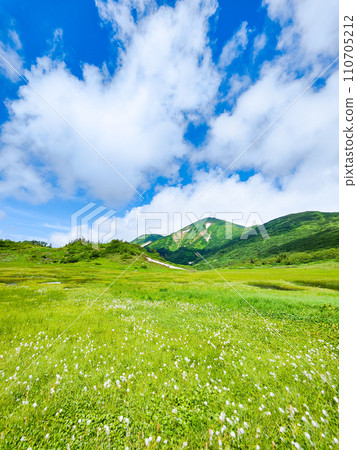夏天攀登火內山（天狗庭園：火內山和棉草群落） 110705212