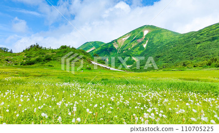 夏天攀登火內山(天狗庭園:火內山和棉草群落) 夏天攀登火內山(天狗庭園:火內山和棉草群落) 110705225