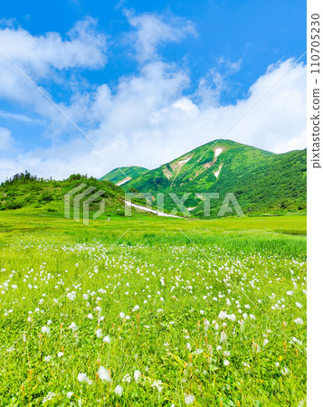 Climbing Mt. Hiuchi in summer (Tengu's garden: Mt. Hiuchi and cotton grass community) Climbing Mt. Hiuchi in summer (Tengu's garden: Mt. Hiuchi and cotton grass community) 110705230