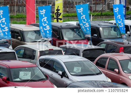 Cars lined up at a used car store Cars lined up at a used car store 110705824