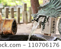 龍被放置在神社里 110706176