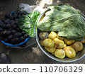 central asian figs 110706329