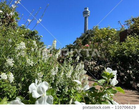 Marine Tower seen from Yamashita Park Marine Tower seen from Yamashita Park 110706629