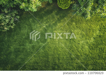 Lawn background AI generated image AI image 110706820