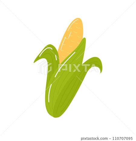 Yellow corn in green leaves, cereal plant in cartoon style isolated on white. Yellow corn in green leaves, cereal plant in cartoon style isolated on white. 110707095