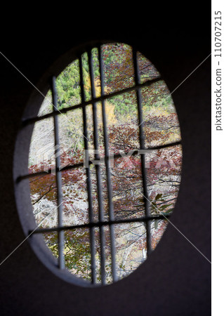 秋天的樹葉 110707215