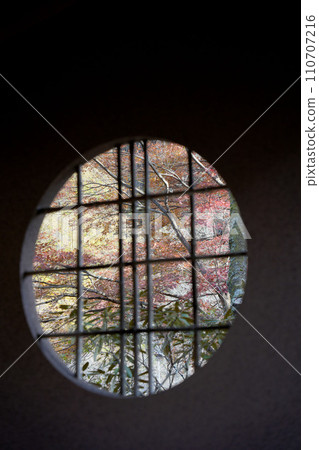 Autumn leaves 110707216