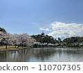 Three-storied pagoda and cherry blossoms seen from Sankeien pond 110707305