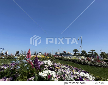 山下公園花壇與冰川丸 110707386