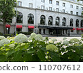 Hydrangeas blooming in front of the hotel 110707612