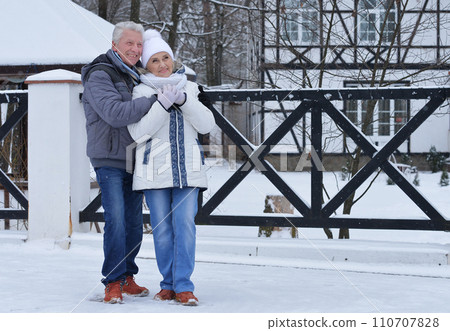 Happy senior couple at snowy winter park. 110707828