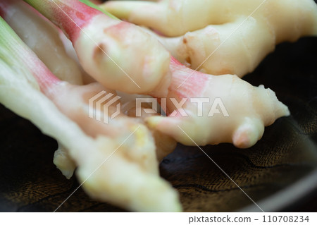 fresh ginger fresh ginger 110708234