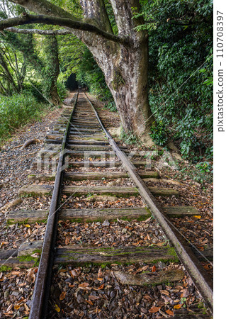 森林中廢棄的鐵路線 森林中廢棄的鐵路線 110708397