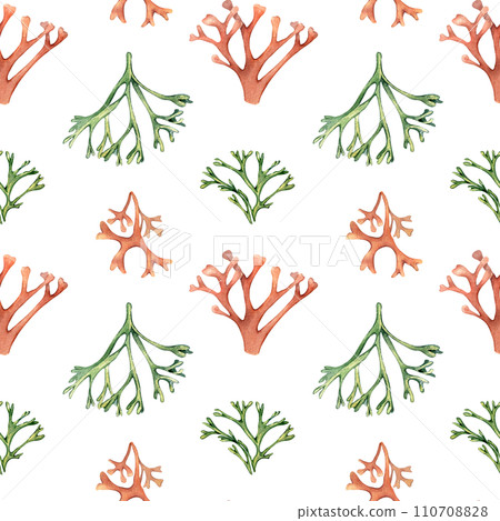 Watercolor seamless pattern of sea plants, coral isolated on white. Pink palmata seaweed hand drawn. Painted codium, dulse. Design element for package, textile, paper, packaging, marine collection 110708828