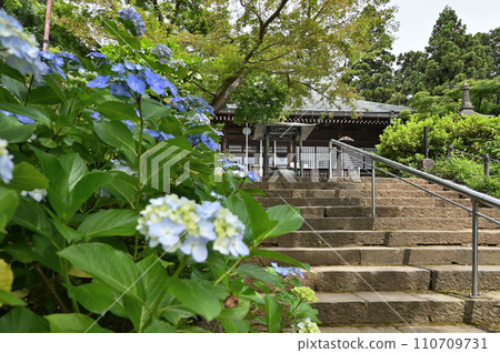 Nichiren Sect Hondoji Main Hall Matsudo City, Chiba Prefecture 110709731