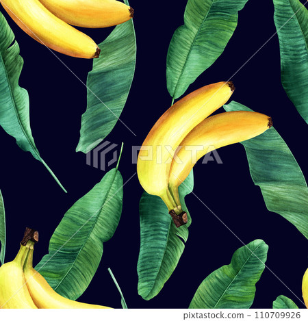 Watercolor seamless pattern with banana tree leaves and yellow fruit, berry banana. Hand drawn illustration. For wrapping wallpaper fabric textile. Watercolor seamless pattern with banana tree leaves and yellow fruit, berry banana. Hand drawn illustration. For wrapping wallpaper fabric textile. 110709926