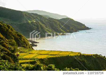 Rice fields facing the Sea of Japan in Wajima 110710734