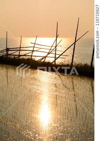 輪島面對日本海的稻田 110710827