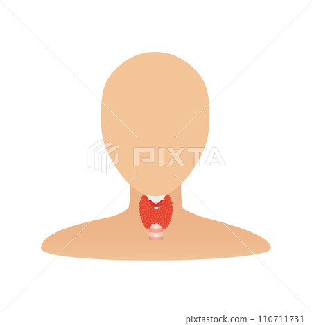 Thyroid gland organ on body silhouette icon Thyroid gland organ on body silhouette icon 110711731