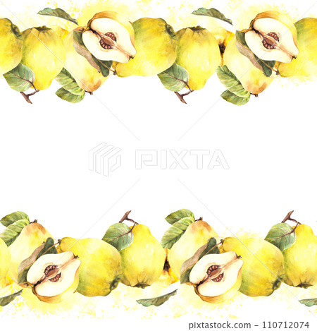 Watercolor hand drawn seamless border frame Juicy quince whole, cut fruits with branch and leaves on watercolor yellow stains, splashes background. Illustration. Clipart for wrapping, banner Isolated Watercolor hand drawn seamless border frame Juicy quince whole, cut fruits with branch and leaves on watercolor yellow stains, splashes background. Illustration. Clipart for wrapping, banner Isolated 110712074