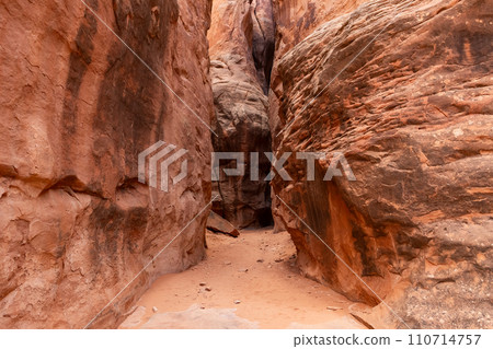 Desert Rock Canyon with Steep Walls in Utah 110714757