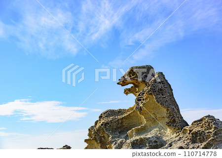 Shiosezaki Godzilla Rock, Oga City, Akita Prefecture 110714778