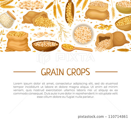 Grain Cereal Banner Design with Natural Crop Harvest Vector Template 110714861