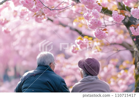 Elderly couple enjoying cherry blossom viewing AI generated image AI image 110715417