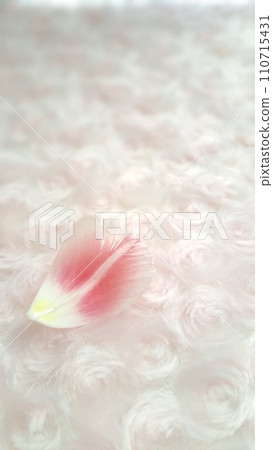 一朵春天般的粉紅鬱金香花瓣 一朵春天般的粉紅鬱金香花瓣 110715431