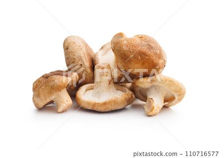 Fresh shiitake mushrooms isolated on white background. 110716577