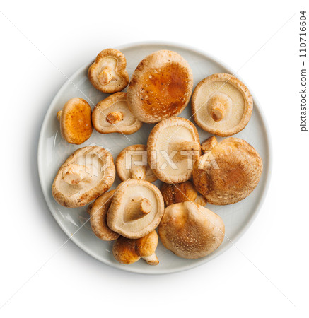 Fresh shiitake mushrooms isolated on white background. 110716604