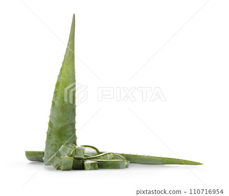 Aloe vera on white background 110716954