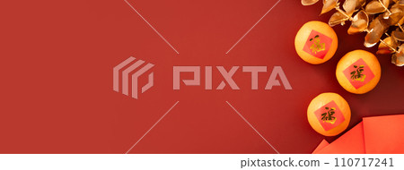 Tangerine Chinese lunar new year Tangerine Chinese lunar new year 蜜橘みかん 110717241