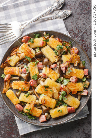 Fried potato dumplings with bacon, onions and mushrooms close-up in a plate on the table. Vertical top view Fried potato dumplings with bacon, onions and mushrooms close-up in a plate on the table. Vertical top view 110717350
