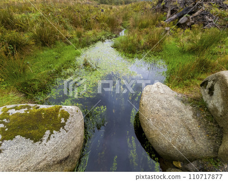 View of the beautiful stream in Bonny Glen in County Donegal - Ireland. 110717877