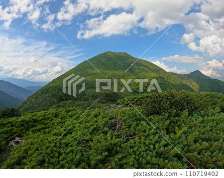 石灸山與日本松林帶 110719402