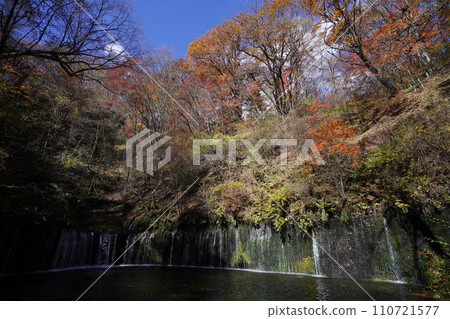 Karuizawa, Nagano Prefecture, Shiraito Falls near Shiraito Highland Way, October 31, 2023 Karuizawa, Nagano Prefecture, Shiraito Falls near Shiraito Highland Way, October 31, 2023 110721577