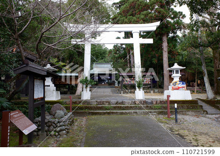 Yakushima Muses and Rescuers Yakushima Muses and Rescuers 110721599