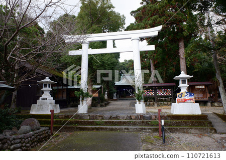 屋久島搗蛋鬼 屋久島搗蛋鬼 110721613