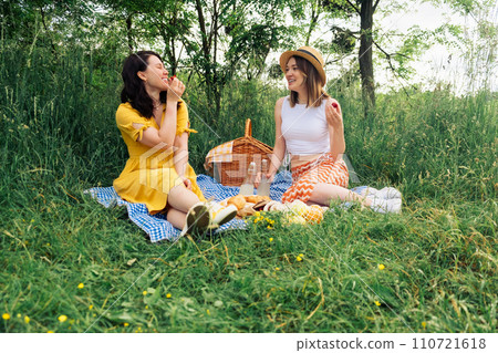 Two friends on a blue blanket for an outdoor picnic Two friends on a blue blanket for an outdoor picnic 110721618